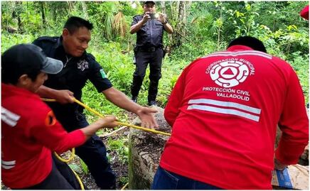 Rescatan a perrito de un pozo en Yucatán; cayó mientras corría en el patio de un predio