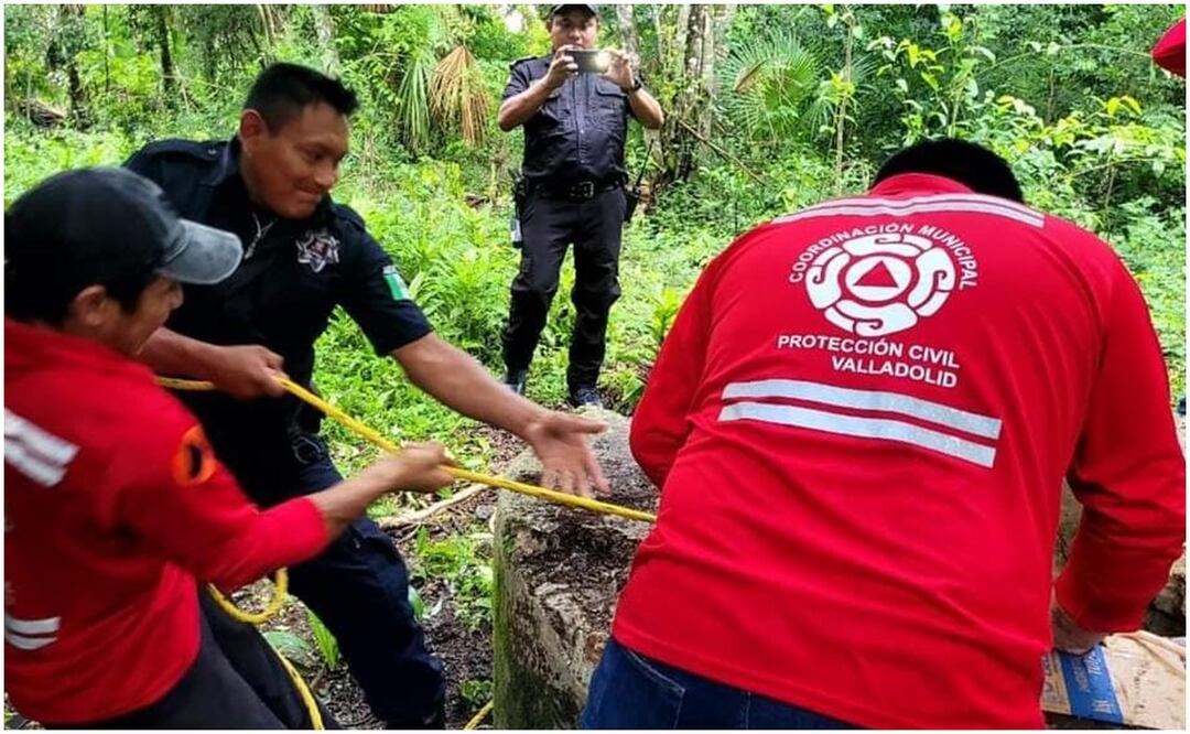 Este 1 de octubre de 2024 fue rescatado un perrito que cayó a un pozo en Yucatán. Foto: Especial