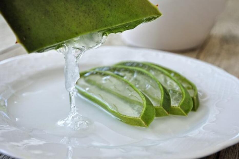 Aloe vera: El aliado natural y eficaz para combatir la caspa