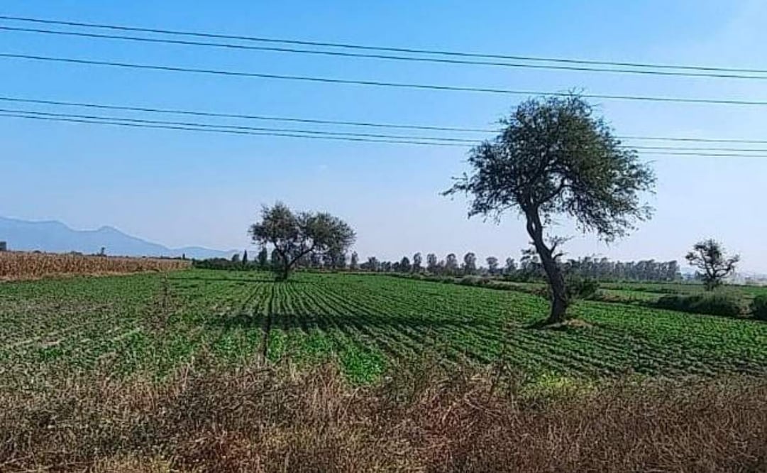 Ambientalista rechazan proyecto de economía circular en Tula, Hidalgo; argumentan mayor riesgo de contaminación.
Foto: Especial.