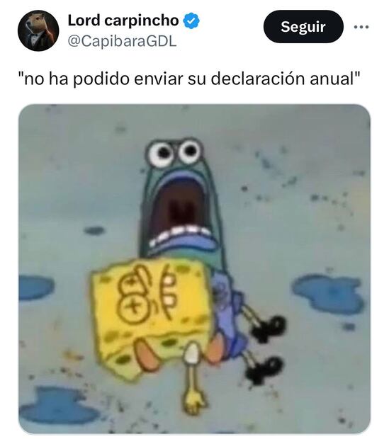 Los mejores memes de la declaración anual 2024. Foto: X