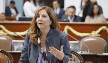 Sesiones virtuales de Morena, sin alcances: PAN