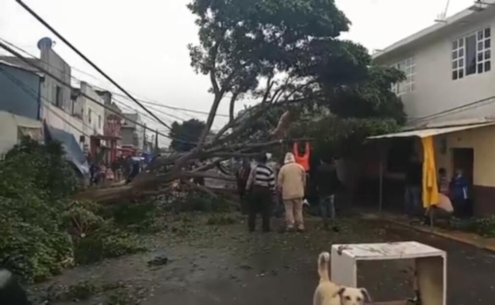 Lluvia en Ecatepec y Tecámac inunda vialidades y retrasa líneas del Mexibús 
