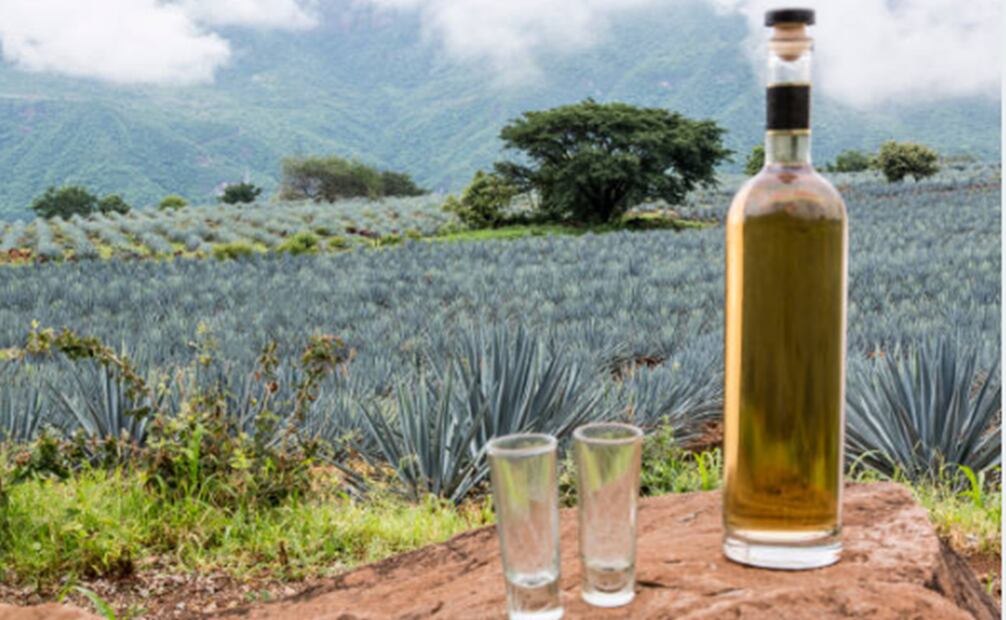 Estas son las peores marcas de tequila, según la Profeco. Foto: Pixabay