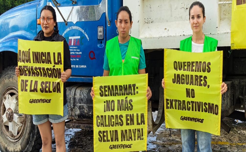 Greenpeace toma oficinas de Semarnat en Cancún; exigen frenar devastación en la selva maya. Foto: Adriana Varillas