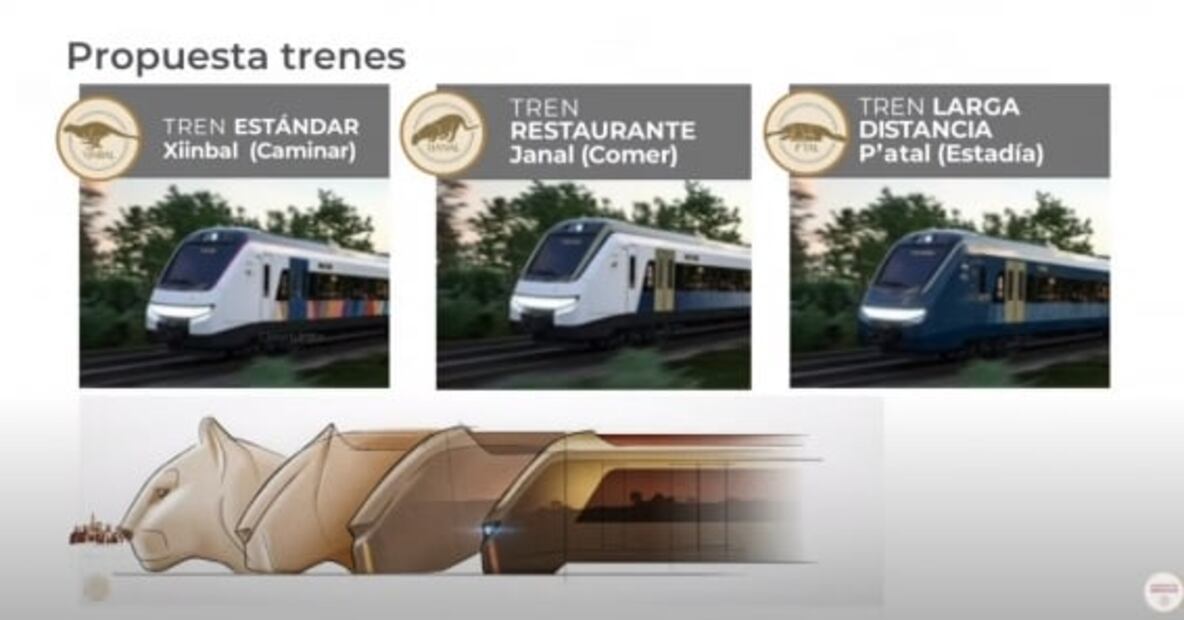 De primera clase, con camarotes, restaurantes y ducha privada: así son los vagones del Tren Maya