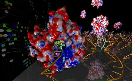 Moléculas vegetales podrían curar el cáncer