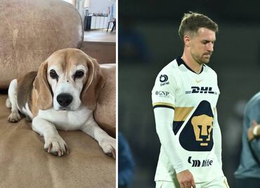 Aaron Ramsey ofrece 10 mil dólares de recompensa a quien le entregue de vuelta a su perro