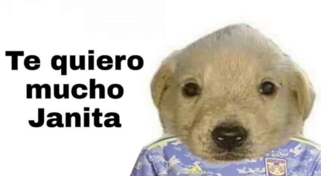 Quedó definida la final de la Liga MX Femenil y los memes ya hicieron lo suyo