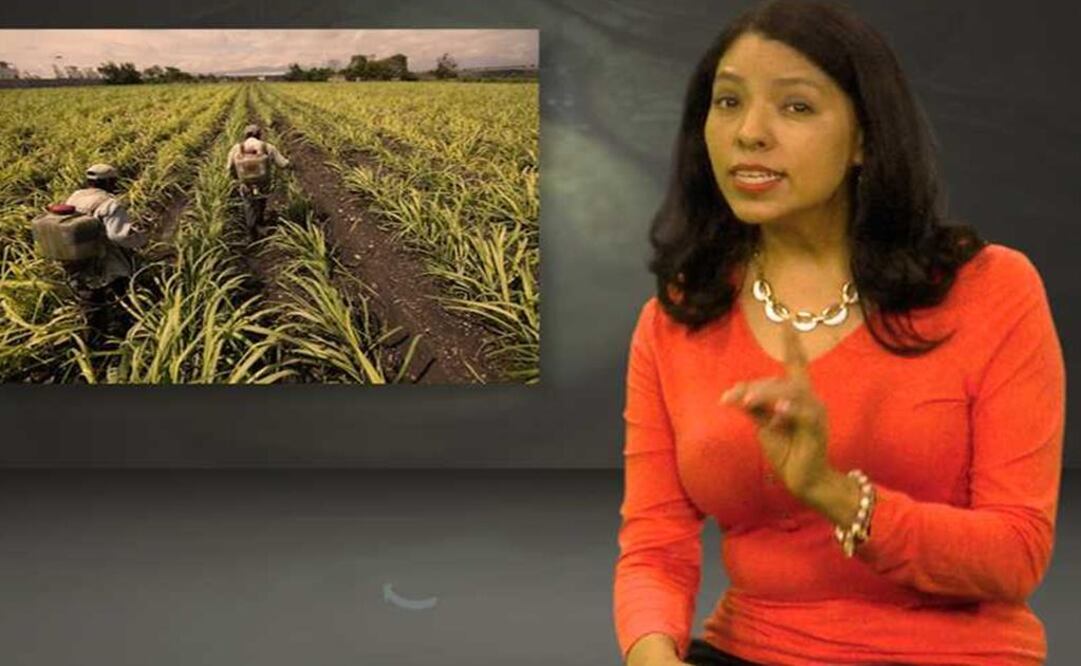 ¿Por qué pelean México y EU por azúcar?