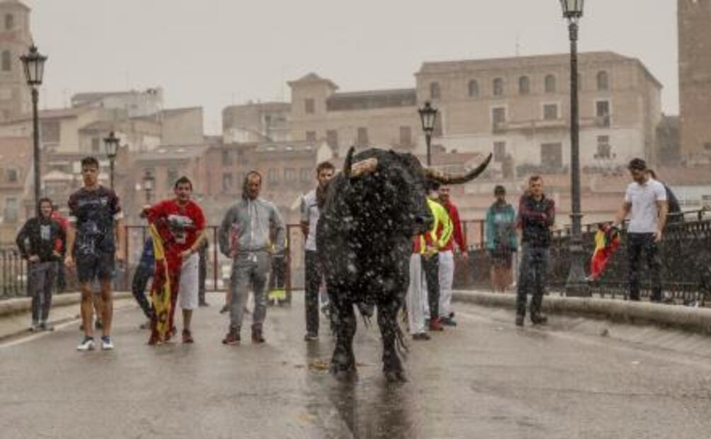 Pelean en España por corridas de toros