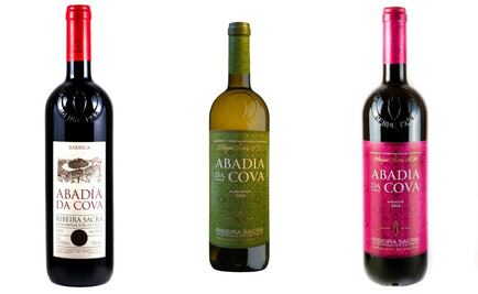 Calidad del vino gallego