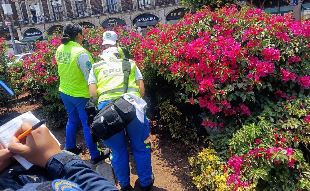 Encuentran el cuerpo sin vida de un hombre en jardineras del Zócalo capitalino. (FOTO: especial)