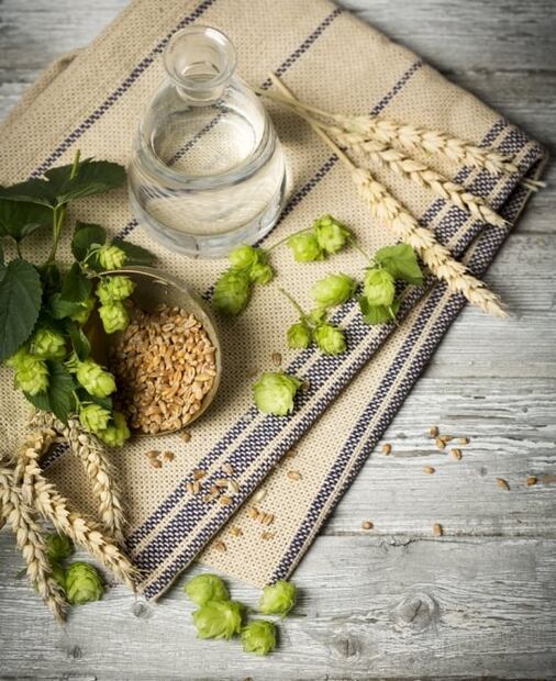 Lúpulo, el secreto de una buena cerveza