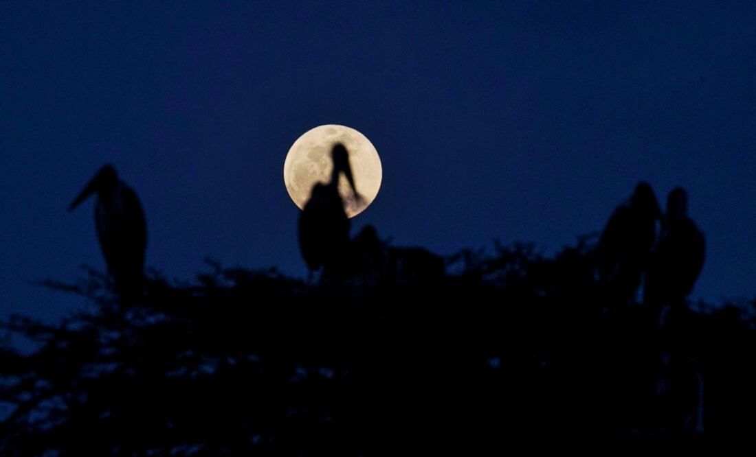 El proceso en su conjunto demorará casi cuatro horas en la fase del eclipse total. Nairobi, Kenia. Foto: Reuters