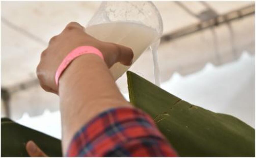 ¡De no perderse! La Feria de las Pulquerías Tradicionales