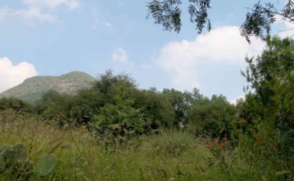 Buscan decretar como áreas naturales protegidas a barrancas en Ecatepec 