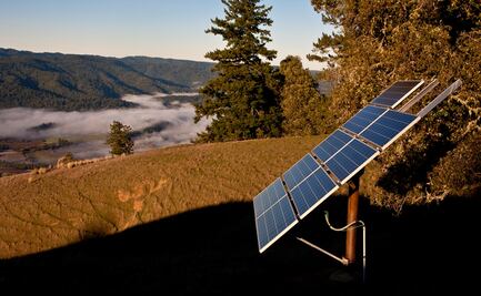 California apuesta por la sustentabilidad en sus viñedos