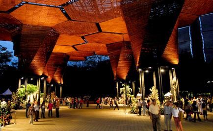 Medellín, el “ave fénix”