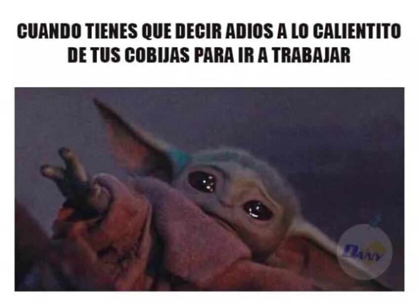 Capitalinos sufren por el frío, pero no por los memes