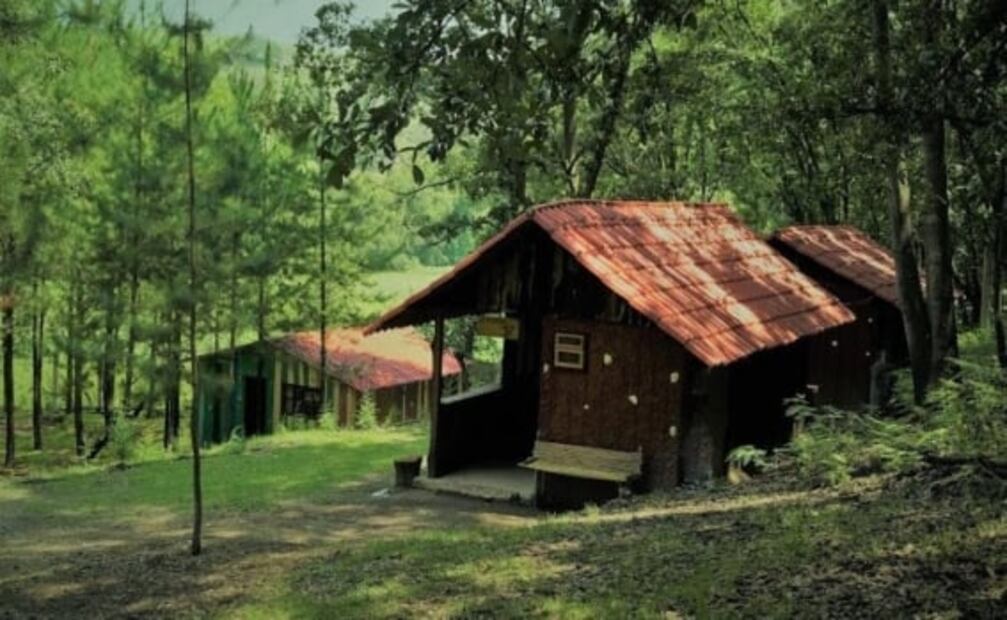 Cabañas a menos de 3 horas de CDMX para disfrutar el fin de semana