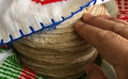 Alertan alza en precio de tortilla; prevén que llegue hasta los $20