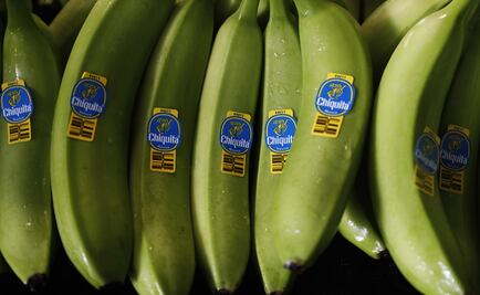 Panamá anuncia regreso de trasnacional Chiquita Brands al país tras huelga; permitirá reactivación de la actividad bananera