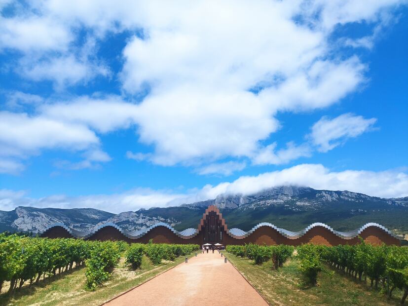 Bodega Ysios