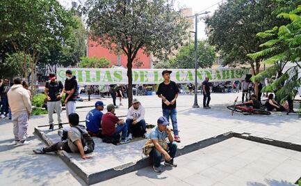 Definirán la próxima semana ubicación de punto cannábico en el parque La Concepción