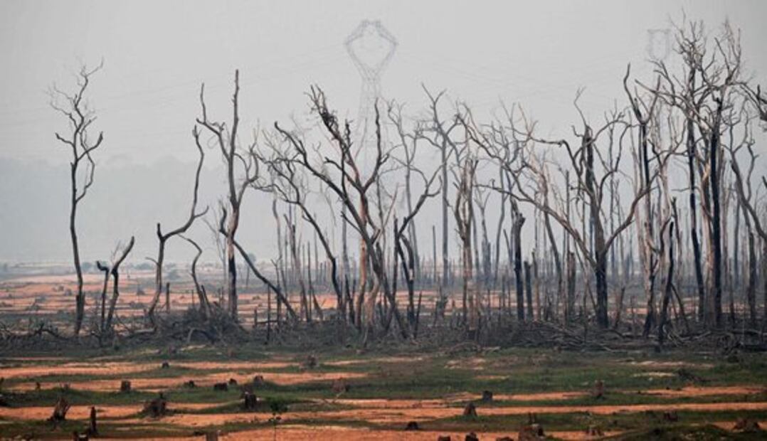 Las imágenes de los incendios registrados en la selva amazónica de Brasil