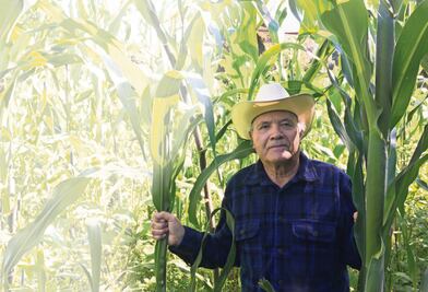 "No es  chamba,  es mi destino: ser trovador de huapango arribeño": Guillermo Velázquez