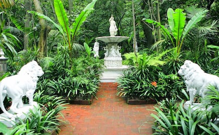 Barrios mágicos que debes visitar en la CDMX (Parte 1)