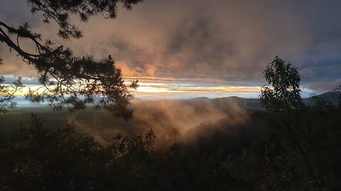 Foto: Bosque Mágico