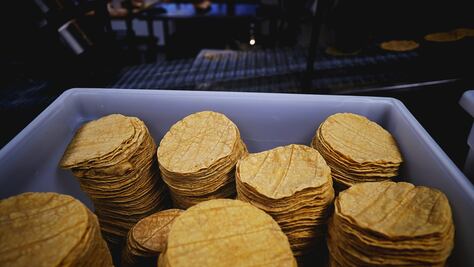 Sheinbaum anuncia acuerdo voluntario para que no suba el precio de la tortilla; busca reducir intermediarios