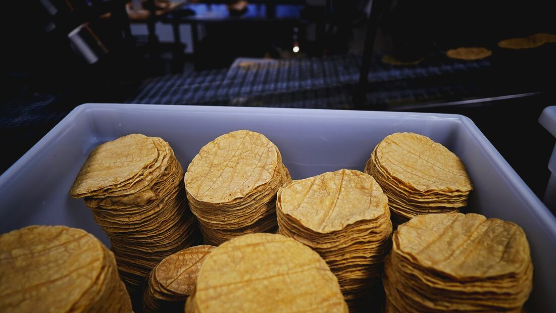 El tipo de tortilla afecta la duración de las tortillas en el refrigerador. Foto: Unsplash