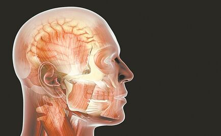 Estudian cómo prevenir el deterioro cognitivo