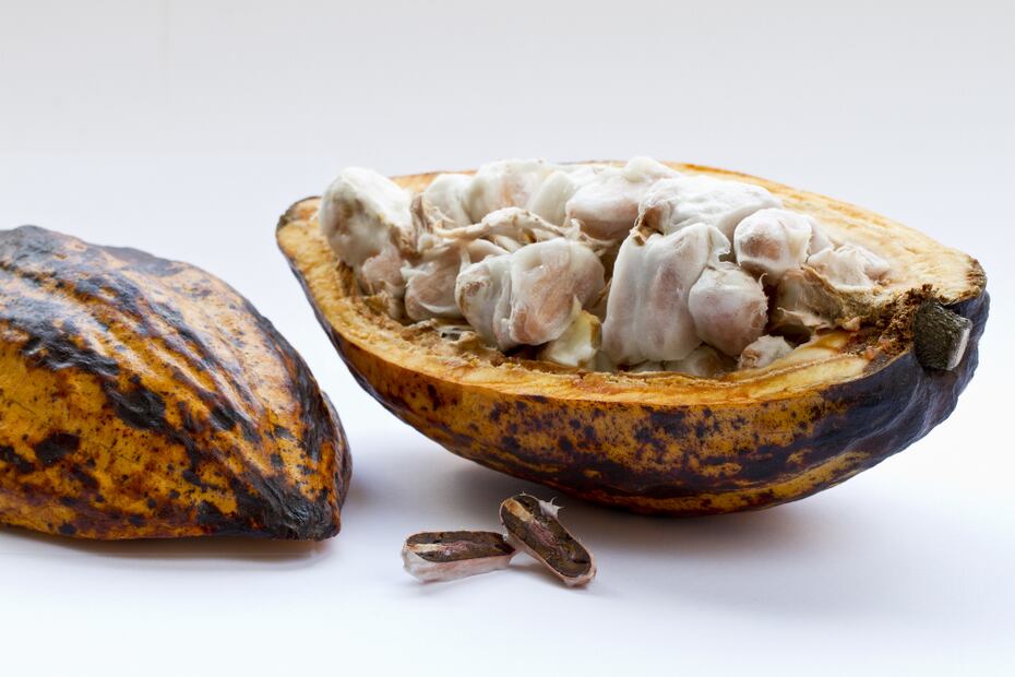 Manteca de cacao. Foto: Freepik