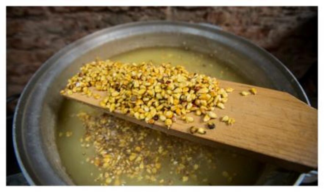 Nixtamalización paso a paso con tortillería Maizajo