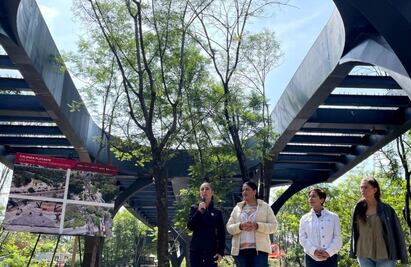 Bosque de Chapultepec nunca se va a privatizar: Sheinbaum 