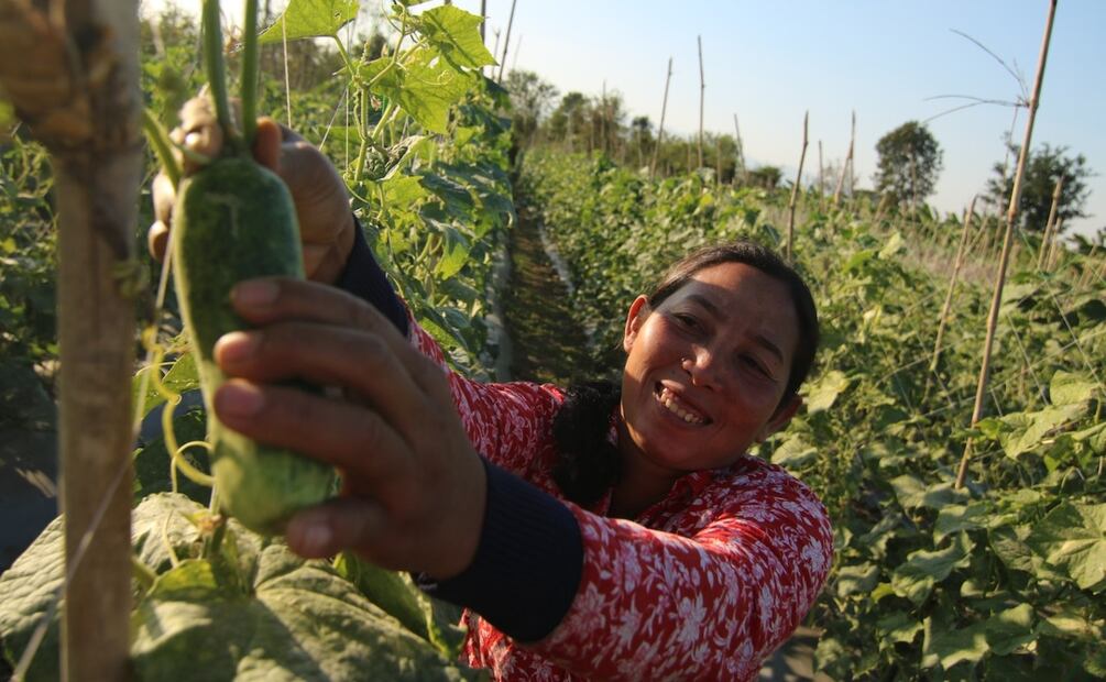 Foto: Makara Eam / Pexels