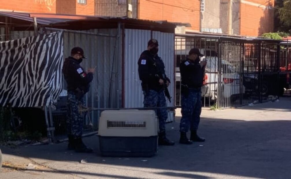 Desalojan y recuperan 32 departamentos con carpetas de investigación en cateo en Iztapalapa