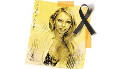 Apuntes sobre la sucesión de la familia Paz Tramini