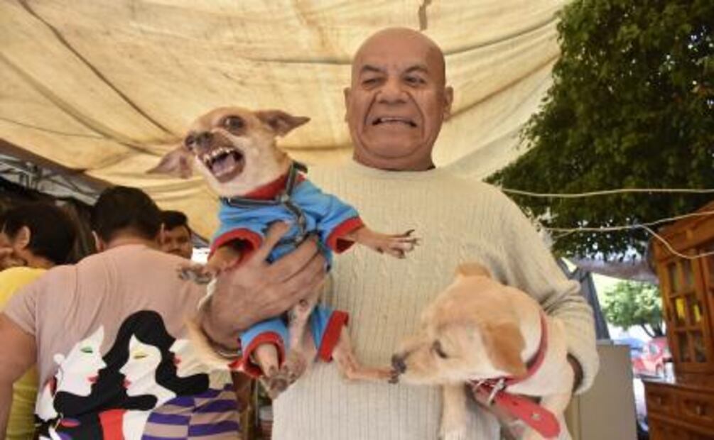 El hombre que vive en la calle con 23 perros 