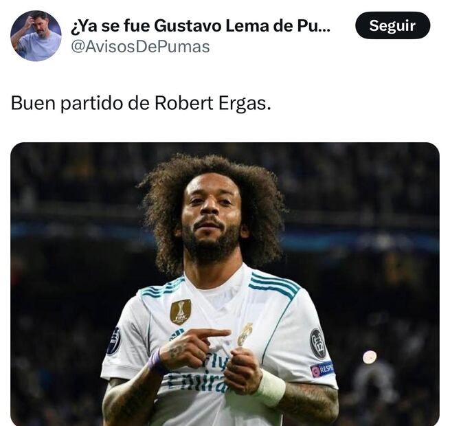 Memes Pumas