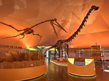 5 museos fabulosos para ir con niños en CDMX
