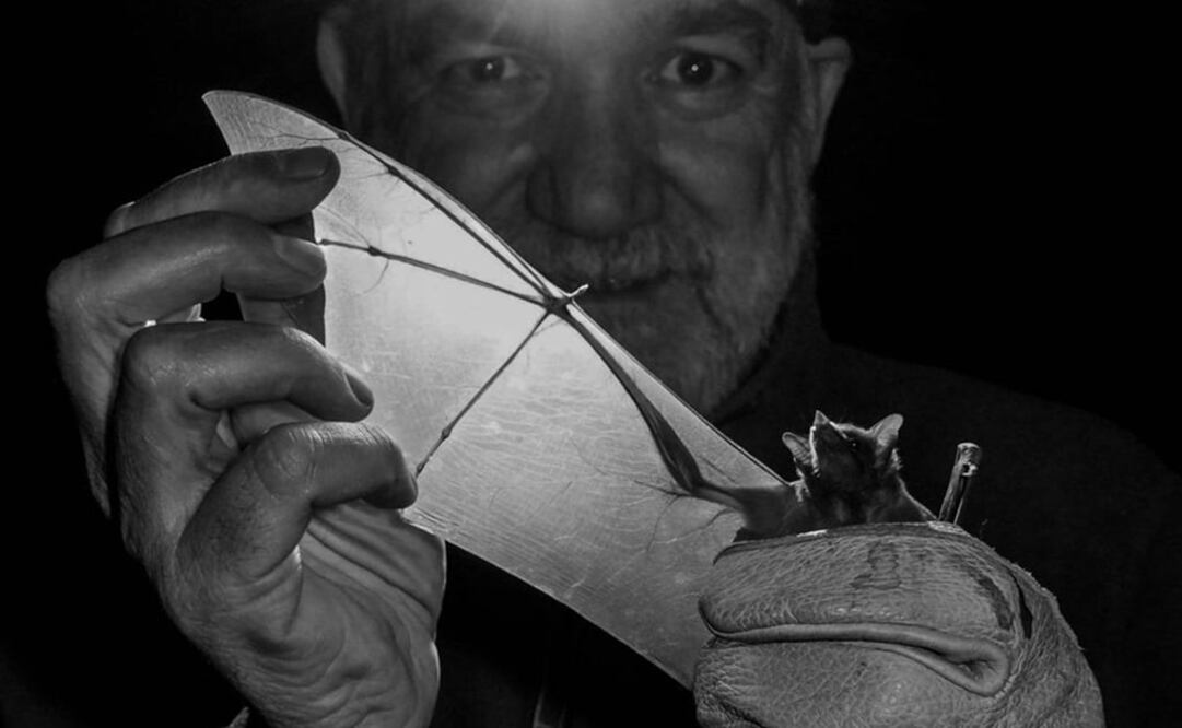 El investigador Rodrigo Medellín. Foto: Joaquín Meza