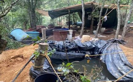 Desmantelan narcolaboratorio de metanfetaminas en zona boscosa de Hidalgo; era operado por personas oriundas de Sinaloa