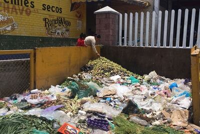 Scavenging food to survive