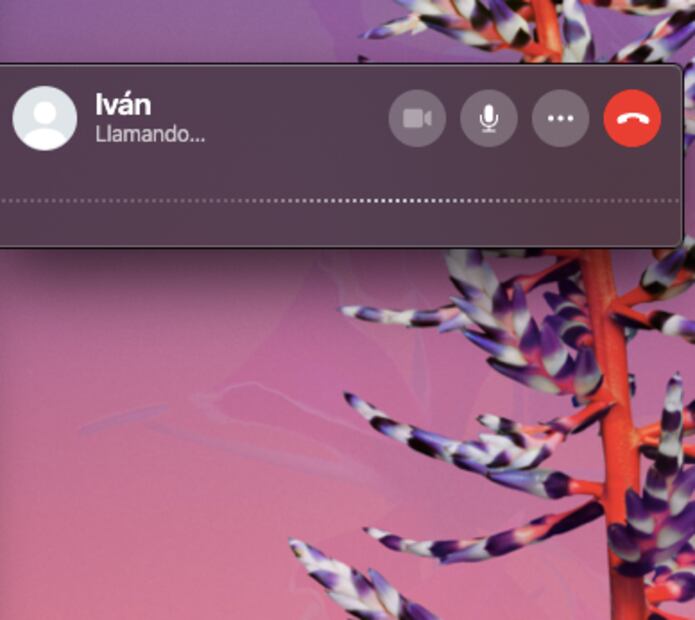 Cómo hacer videollamadas en WhatsApp desde la computadora
