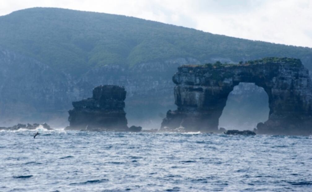 El Arco de Darwin y otras maravillas naturales que desaparecieron